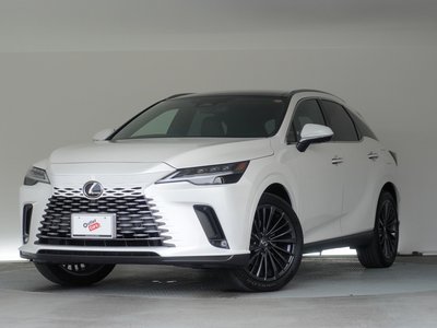 LEXUS RX - 1