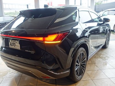 2023 Lexus RX 缩略图 22