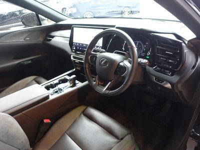 2023 Lexus RX 缩略图 63