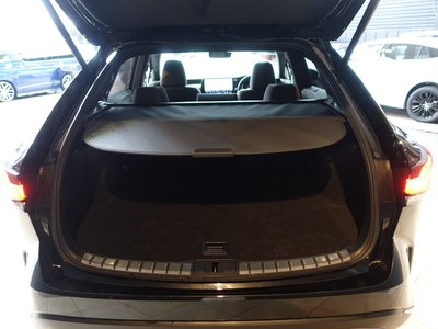 2023 Lexus RX 缩略图 68