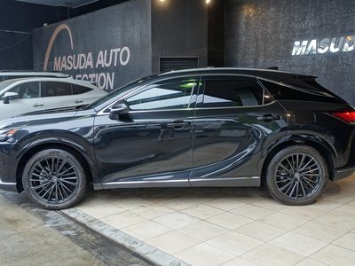 LEXUS RX - 6