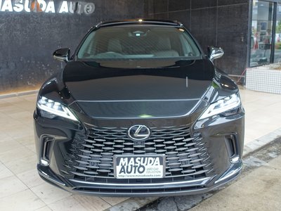 LEXUS RX - 4
