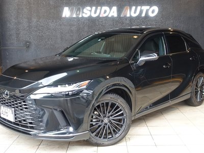 LEXUS RX - 1
