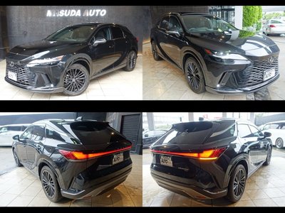 2023 Lexus RX 缩略图 16