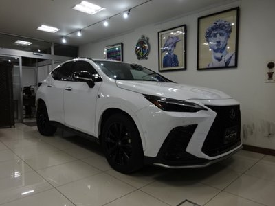 LEXUS NX - 3