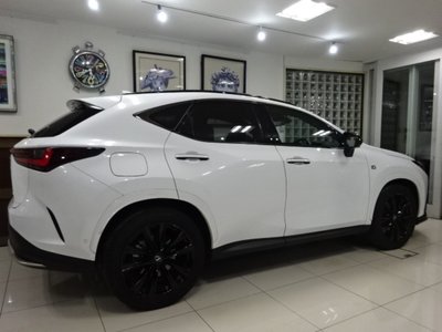 LEXUS NX - 6