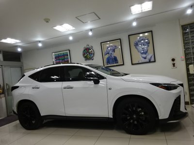 LEXUS NX - 4