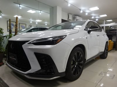 LEXUS NX - 10