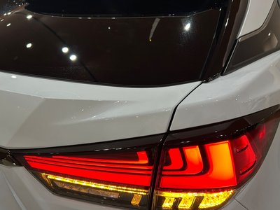 2020 Lexus RX 缩略图 57