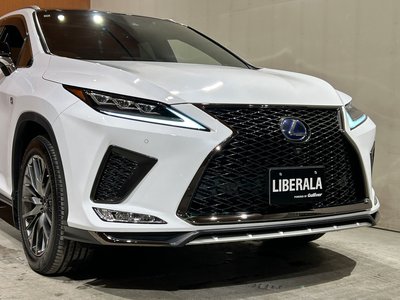 2020 Lexus RX 缩略图 44
