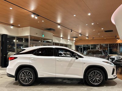2020 Lexus RX 缩略图 51