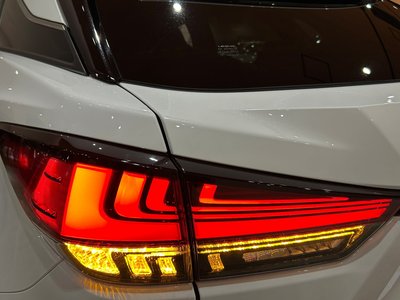 2020 Lexus RX 缩略图 56