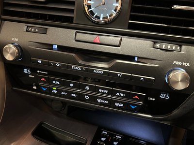 2020 Lexus RX 缩略图 18