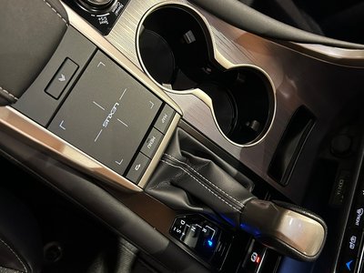 2020 Lexus RX 缩略图 19