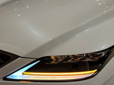 2020 Lexus RX 缩略图 55
