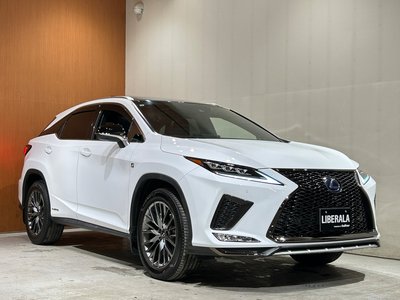 2020 Lexus RX 缩略图 43