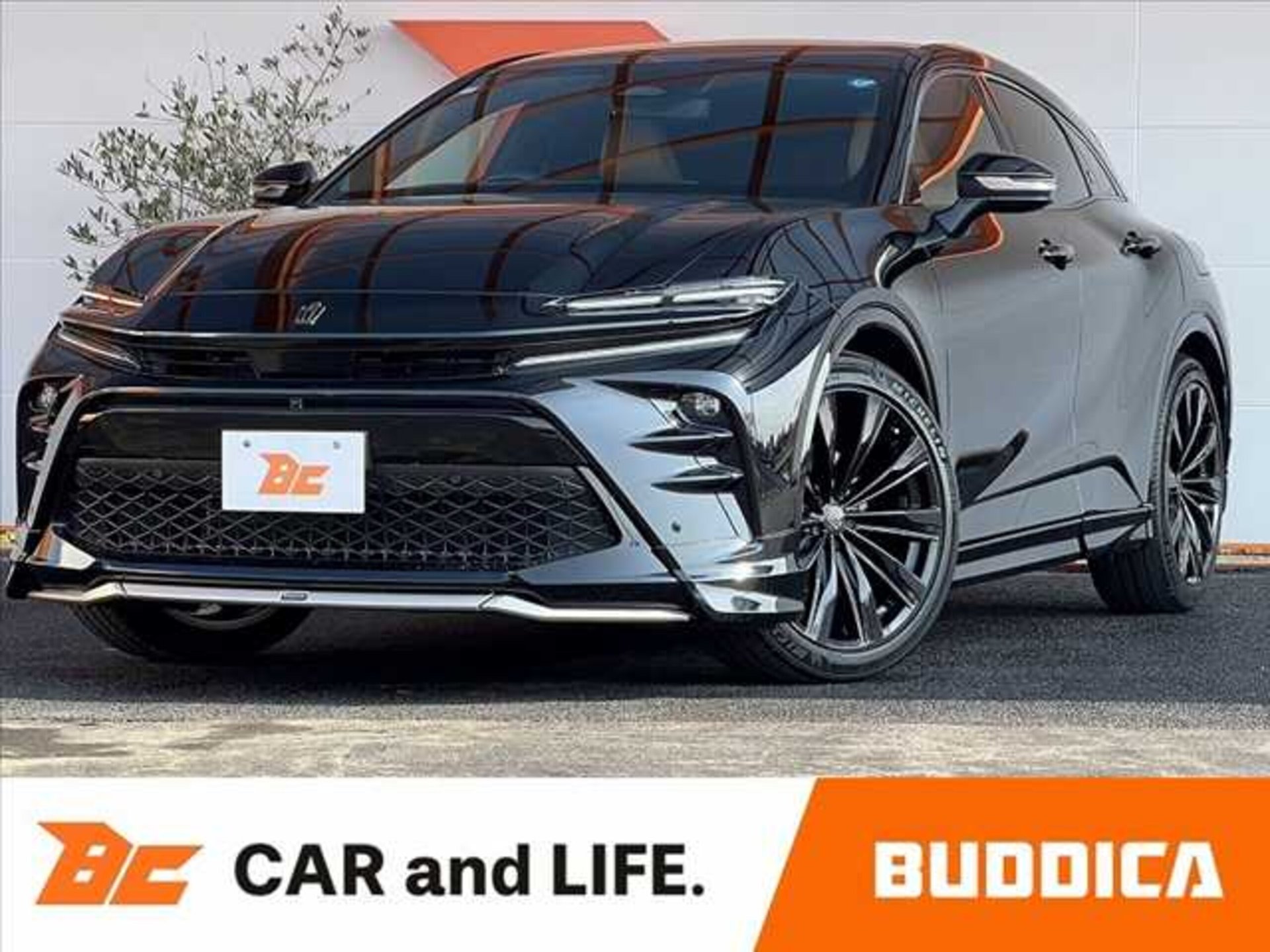 TOYOTA CROWN SPORT - View 1