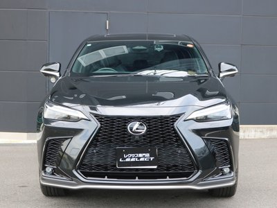 2022 Lexus NX — фото 7