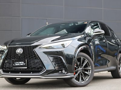 2022 Lexus NX — фото 5