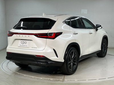 2023 Lexus NX 照片 5