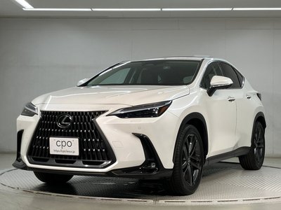 2023 Lexus NX — фото 1