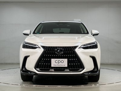 2023 Lexus NX — фото 2