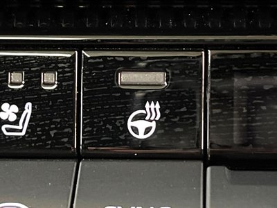 TOYOTA LAND CRUISER 250 - 8