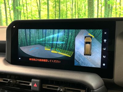 TOYOTA LAND CRUISER 250 - 5