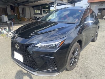 LEXUS NX - 1