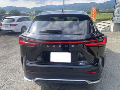 LEXUS NX - 6