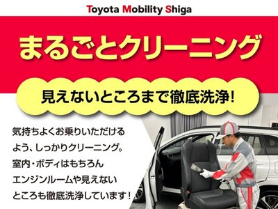 2023 Toyota ALPHARD 缩略图 35