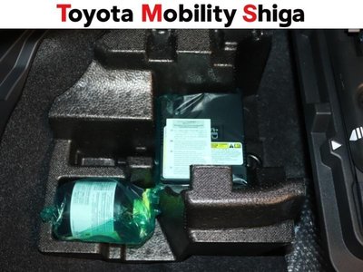 2023 Toyota ALPHARD 缩略图 30
