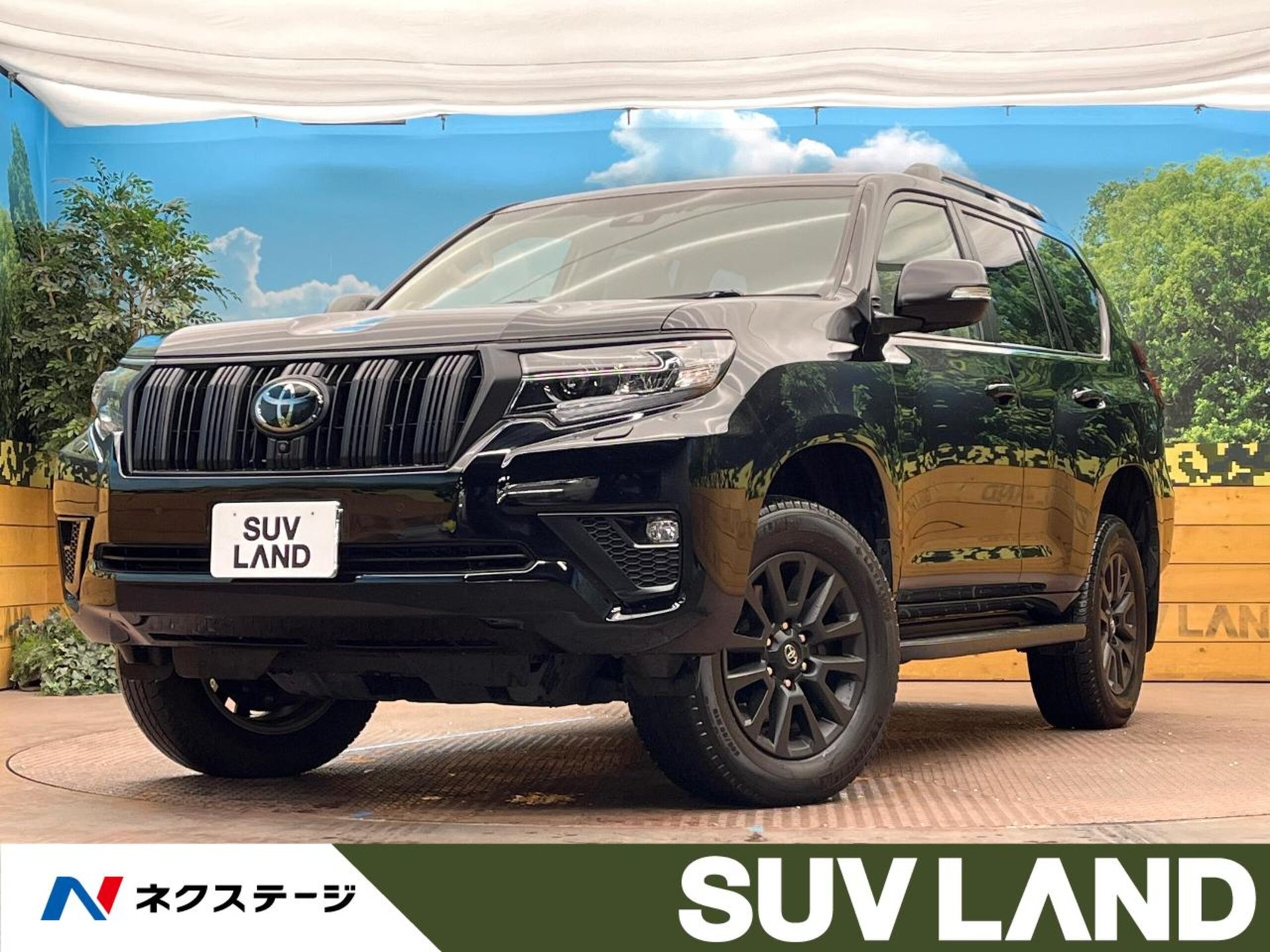 TOYOTA LAND CRUISER PRADO - View 1
