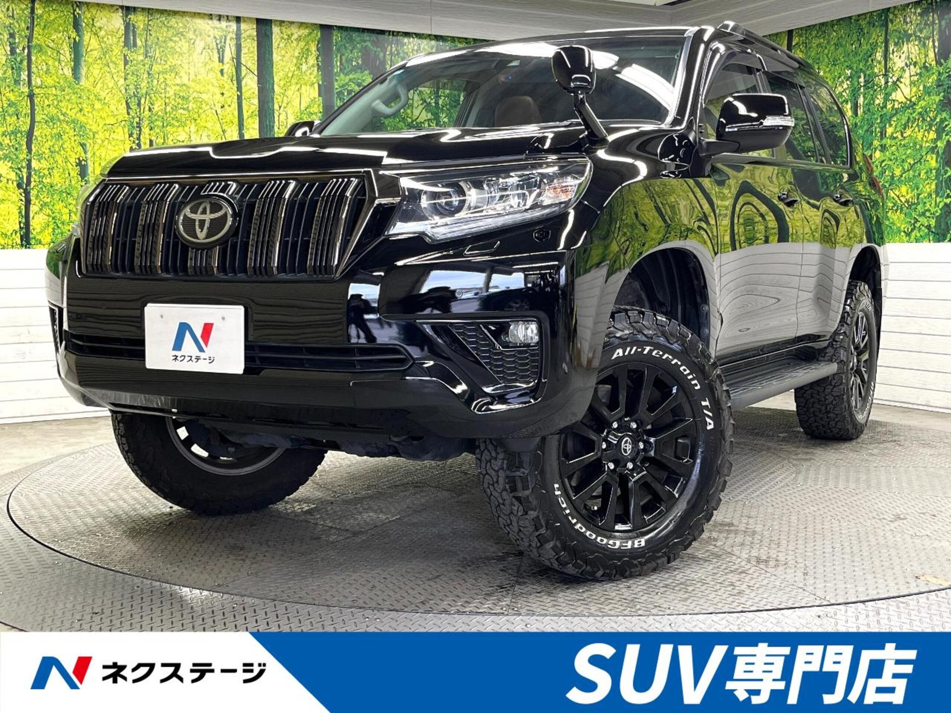 TOYOTA LAND CRUISER PRADO - View 1