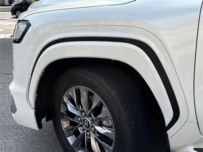 2024 Toyota LAND CRUISER 300 照片 3
