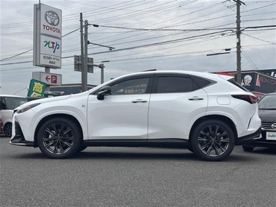 2024 Lexus NX 缩略图 12