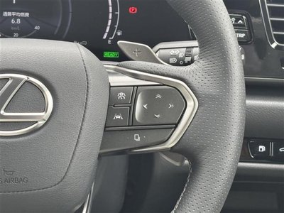 2024 Lexus NX 缩略图 21