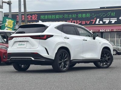 2024 Lexus NX 缩略图 15