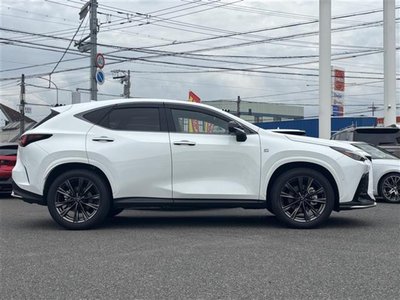 2024 Lexus NX 缩略图 13