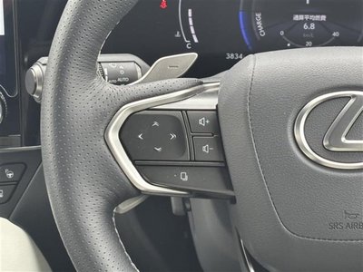 2024 Lexus NX 缩略图 20