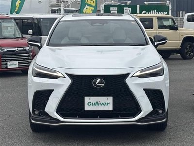 2024 Lexus NX 照片 10