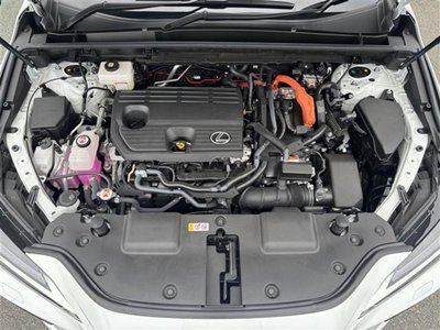 2024 Lexus NX 缩略图 40
