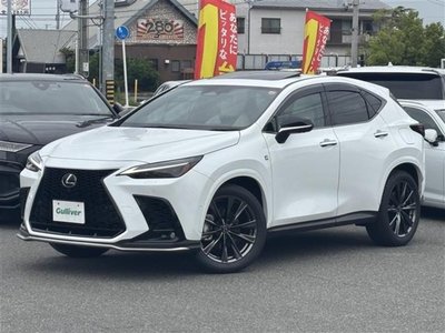 2024 Lexus NX 缩略图 14