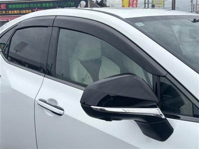 2024 Lexus NX 缩略图 38