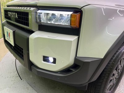 2025 Toyota LAND CRUISER 250 缩略图 14