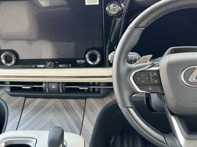 2025 Lexus LM 照片 16