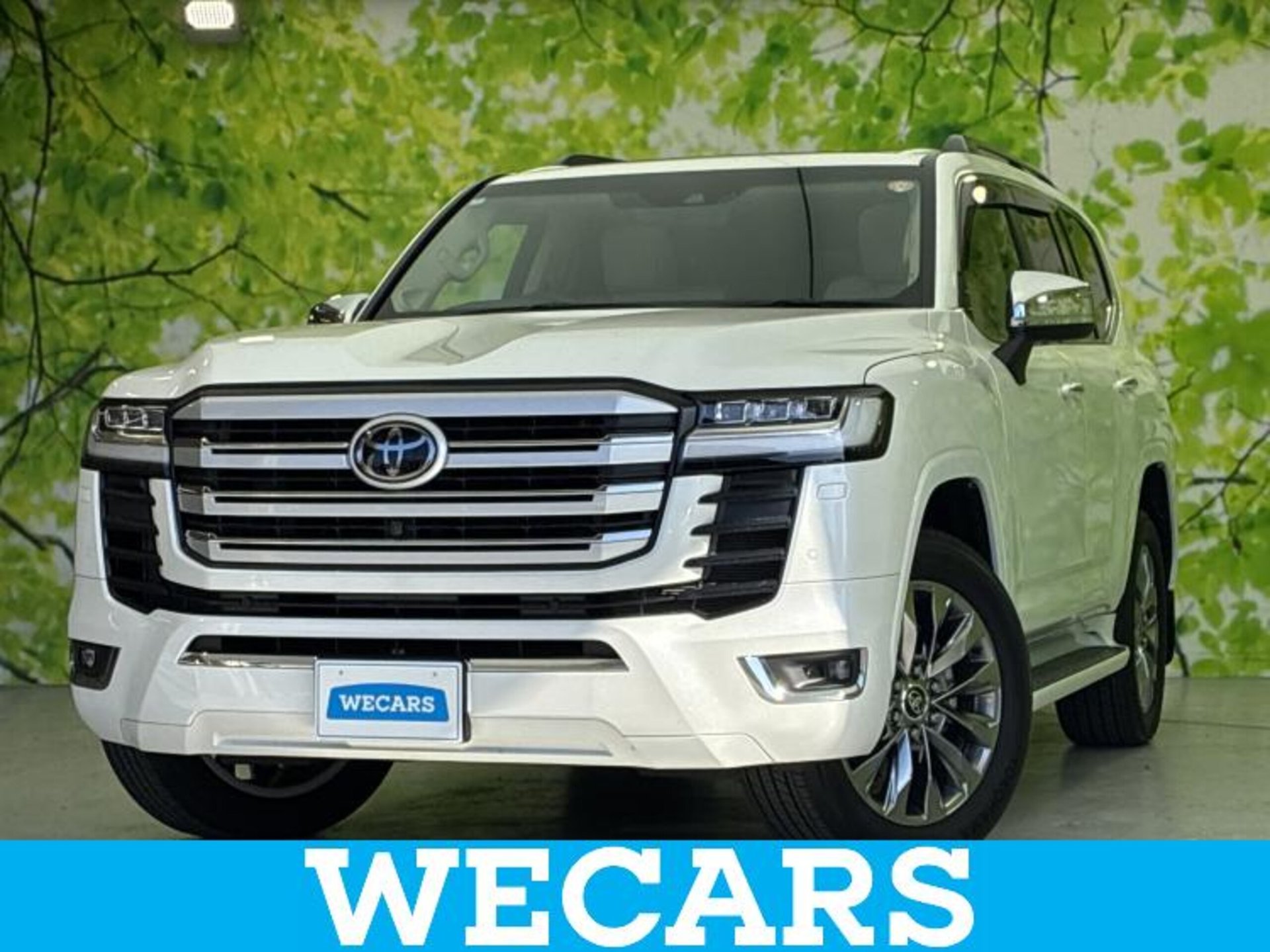 TOYOTA LAND CRUISER 300 - View 1