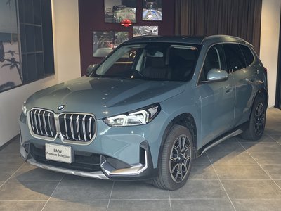 BMW X1 - 1