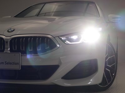 2025 BMW 8 SERIES GRAN COUPE — миниатюра 24