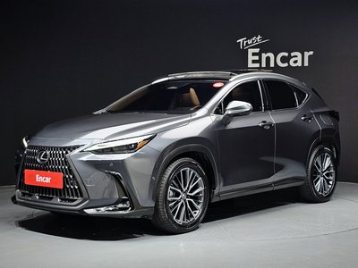 LEXUS NX - 1